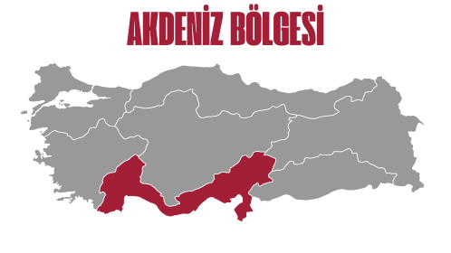 Fo Türkiye Akademi | Yarışma - Akdeniz Bölgesi - 2025-11-24
