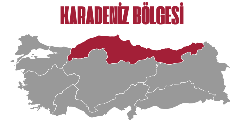 Fo Türkiye Akademi | Yarışma - Karadeniz Bölgesi - 2025-12-08