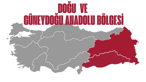 Fo Türkiye Akademi | Yarışma - Doğu Anadolu & Güneydoğu Anadolu Bölgesi - 2025-11-18